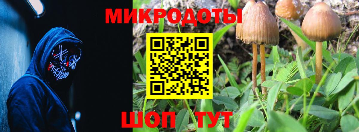 Галлюциногенные грибы Psilocybe  Вход с VPN  Шадринск 